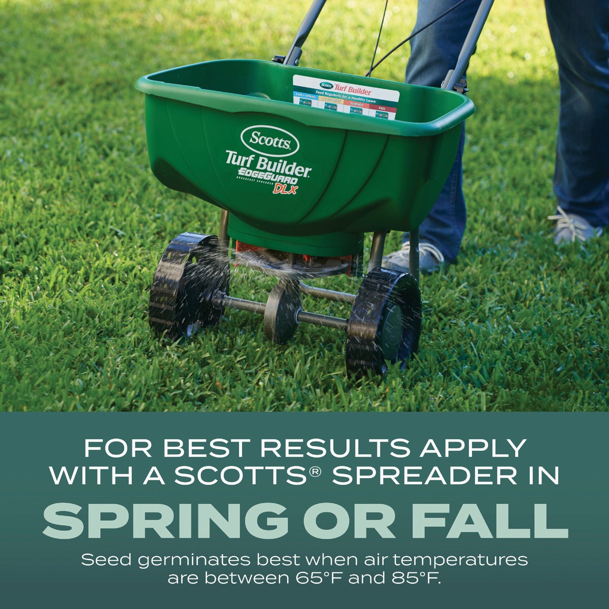 Scotts Turf Builder 2.4 Lb. 200 Sq. Ft. Dense Shade Mix Grass Seed, Fertilizer, and Soil Improver Combination Image 5