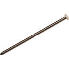 Do it 20d x 4 In. Shanked Pole Barn Nails (175-Count, 5 Lb.) Image 1