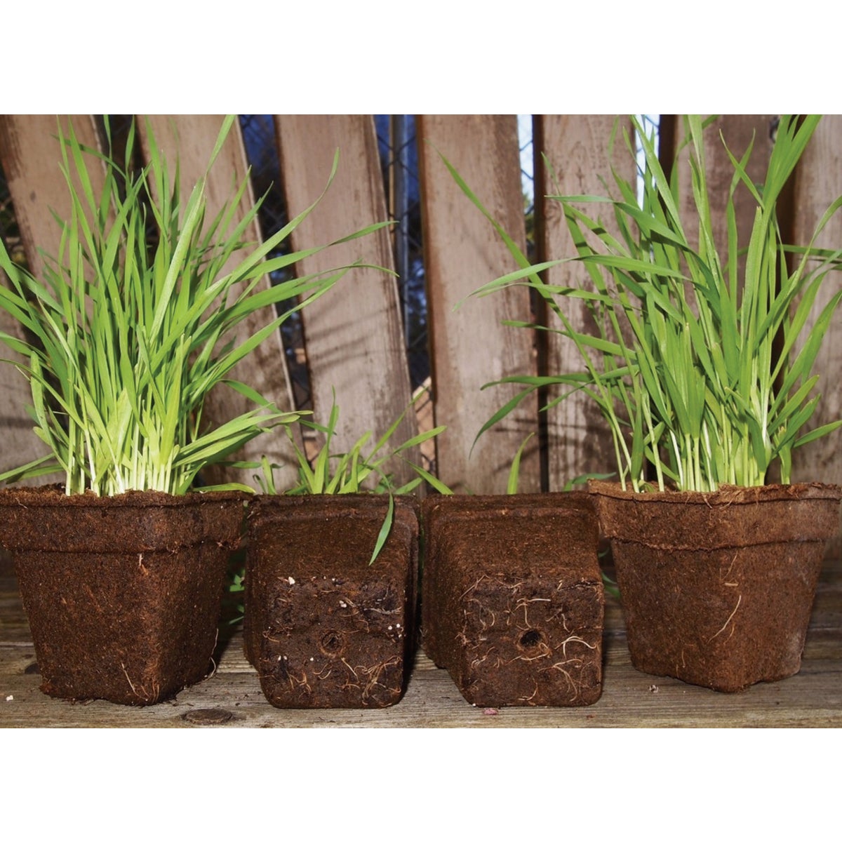 Summit CowPots #3 Square Cow Manure Grow Pot (12-Pack) Image 4
