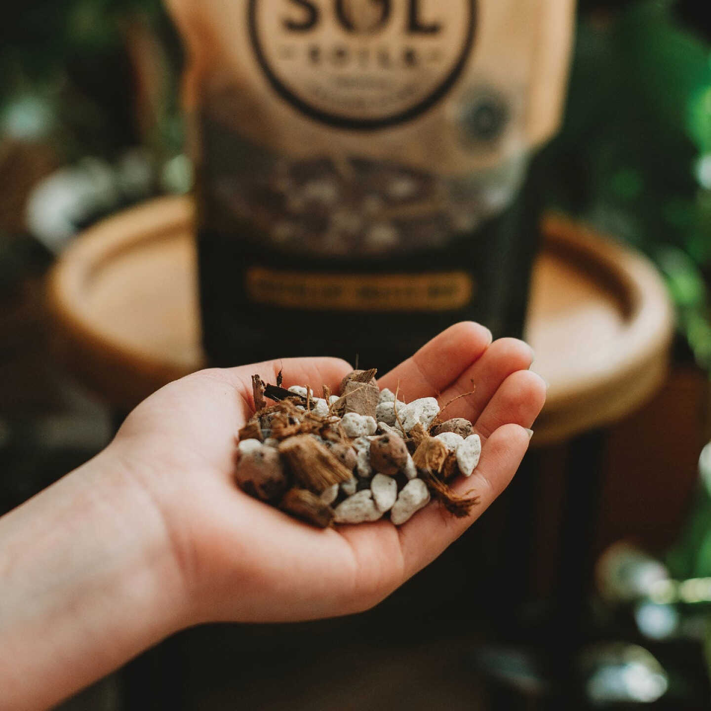 Sol Soils 2 Qt. Succulent Gritty Mix Image 2
