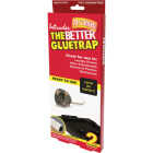 Intruder The Better GlueTrap with Canopy (2-Pack) Image 1