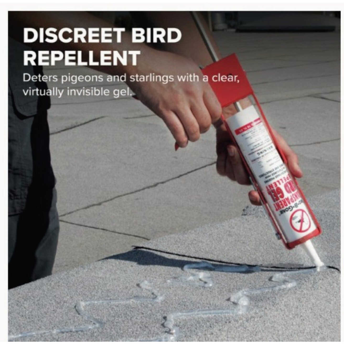 Bird-B-Gone 10 Oz. Transparent Bird Gel Image 3