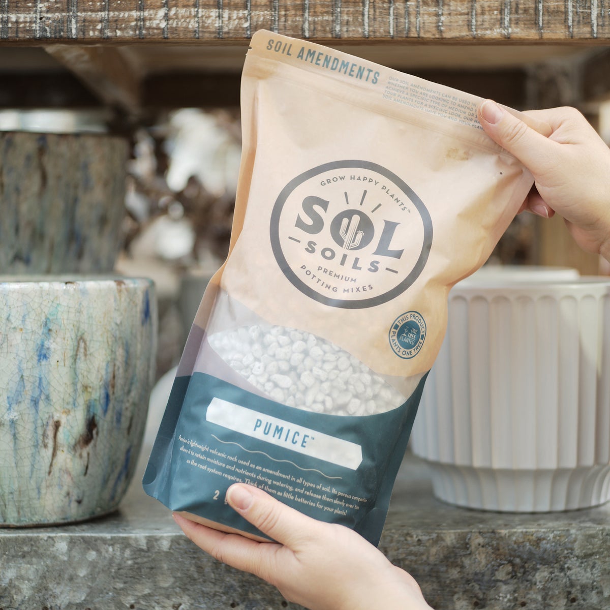 Sol Soils 2 Qt. Pumice Image 2
