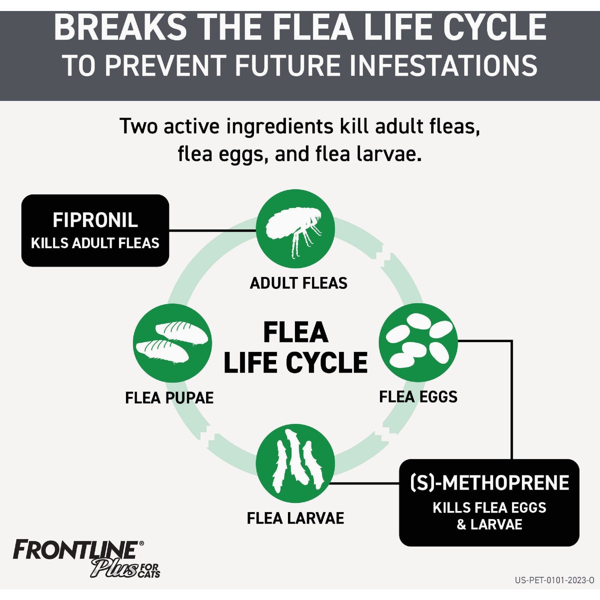 Frontline Plus Flea & Tick Killer For Cats & Kittens (3-Pack) Image 2