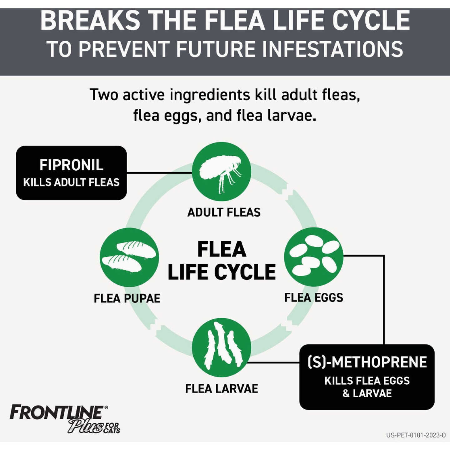 Frontline Plus Flea & Tick Killer For Cats & Kittens (3-Pack) Image 2