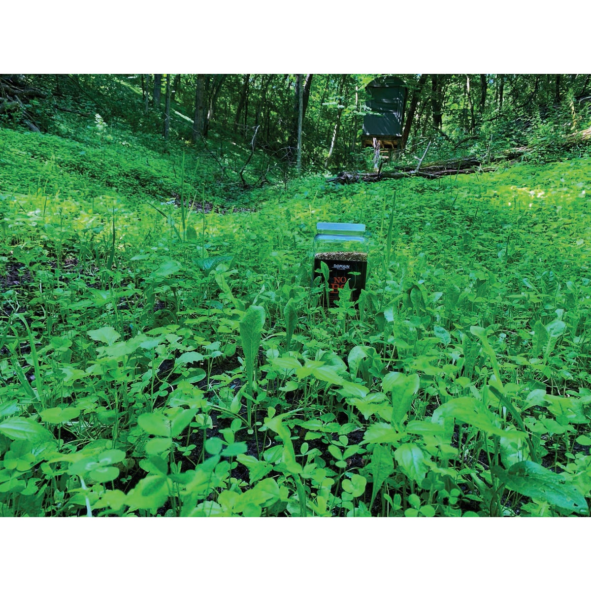 Domain No BS 4.5 Lb. 1/4 Acre Food Plot Seed