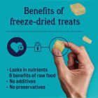 Stewart 3 Oz. Pouch Freeze-Dried Chicken Breast Dog Treats Image 4