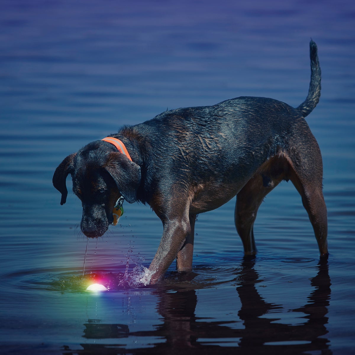 GlowStreak Disc-O Tech LED Ball Image 4