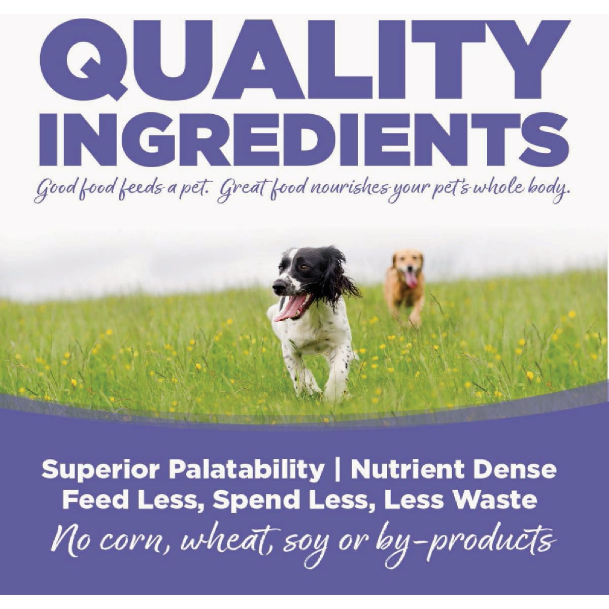 NutriSource 12 Lb. Turkey & Rice Recipe Dog Food Image 2