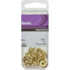 Hillman Brass Speedie Rivet Image 2