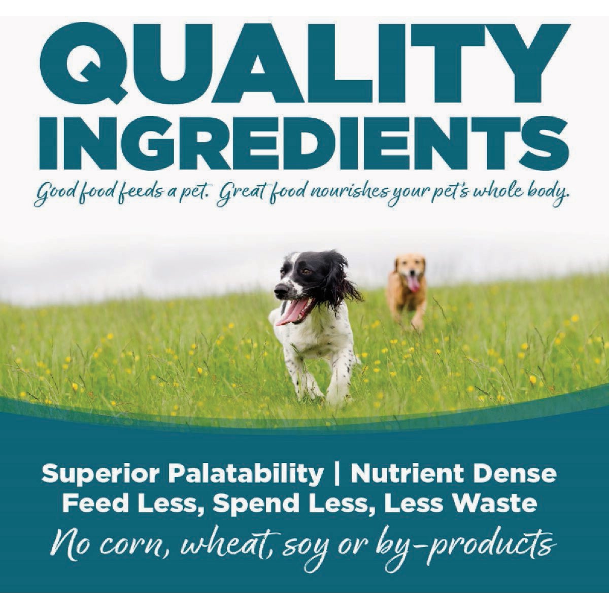 NutriSource 12.3 Oz. Trout & Rice Recipe Wet Dog Food Image 3