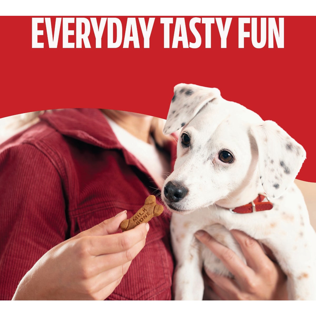 Milk Bone 25 Oz. Soft & Chewy Dog Treats Image 4