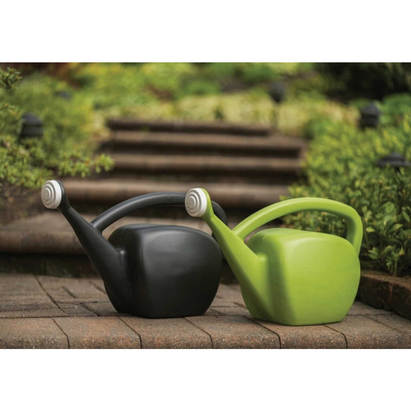 Novelty Root & Vessel 2 Gal. Lime Black Mid-Mod Watering Can Image 2