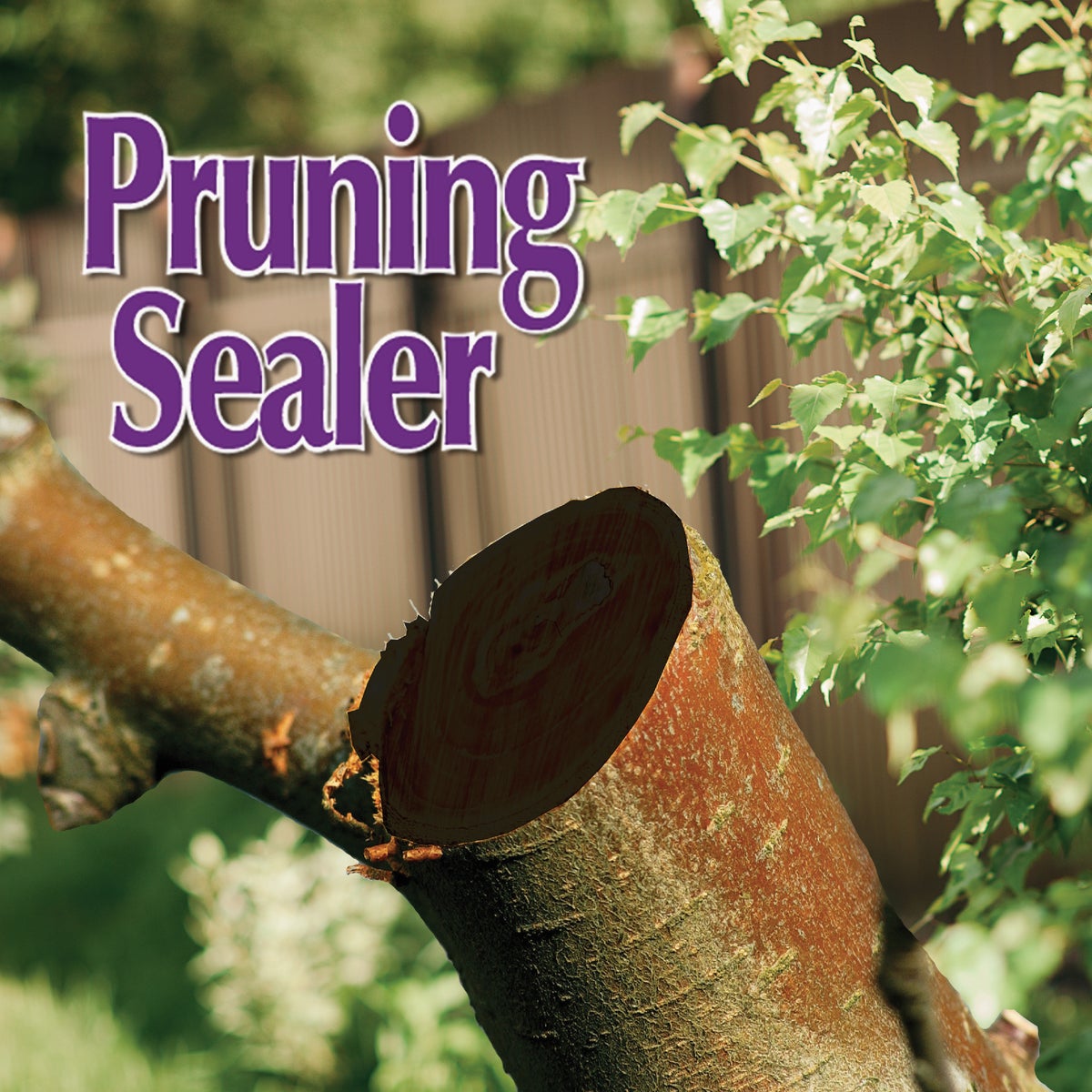Bonide 16 Oz. Garden Rich Pruning Sealer with Brush Top Applicator Image 4