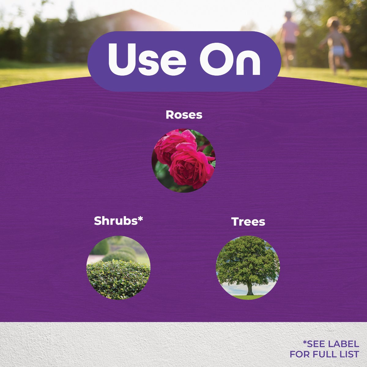 Bonide 16 Oz. Garden Rich Pruning Sealer with Brush Top Applicator Image 2
