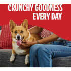 Milk Bone 36 Oz. Flavor Snacks Minis Dog Biscuits Image 5