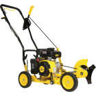 Champion 9 In. 79cc Lawn Edger with Curb Hop Feature Image 1