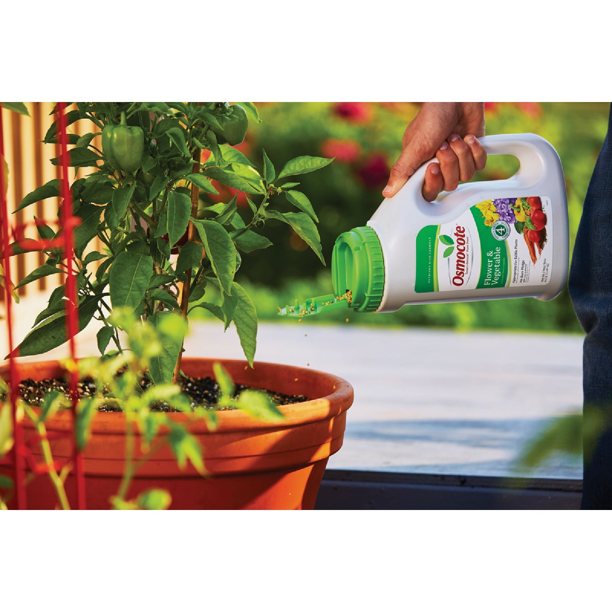 Osmocote Smart-Release 4.5 Lb. Flower & Vegetable Plant Food Image 4