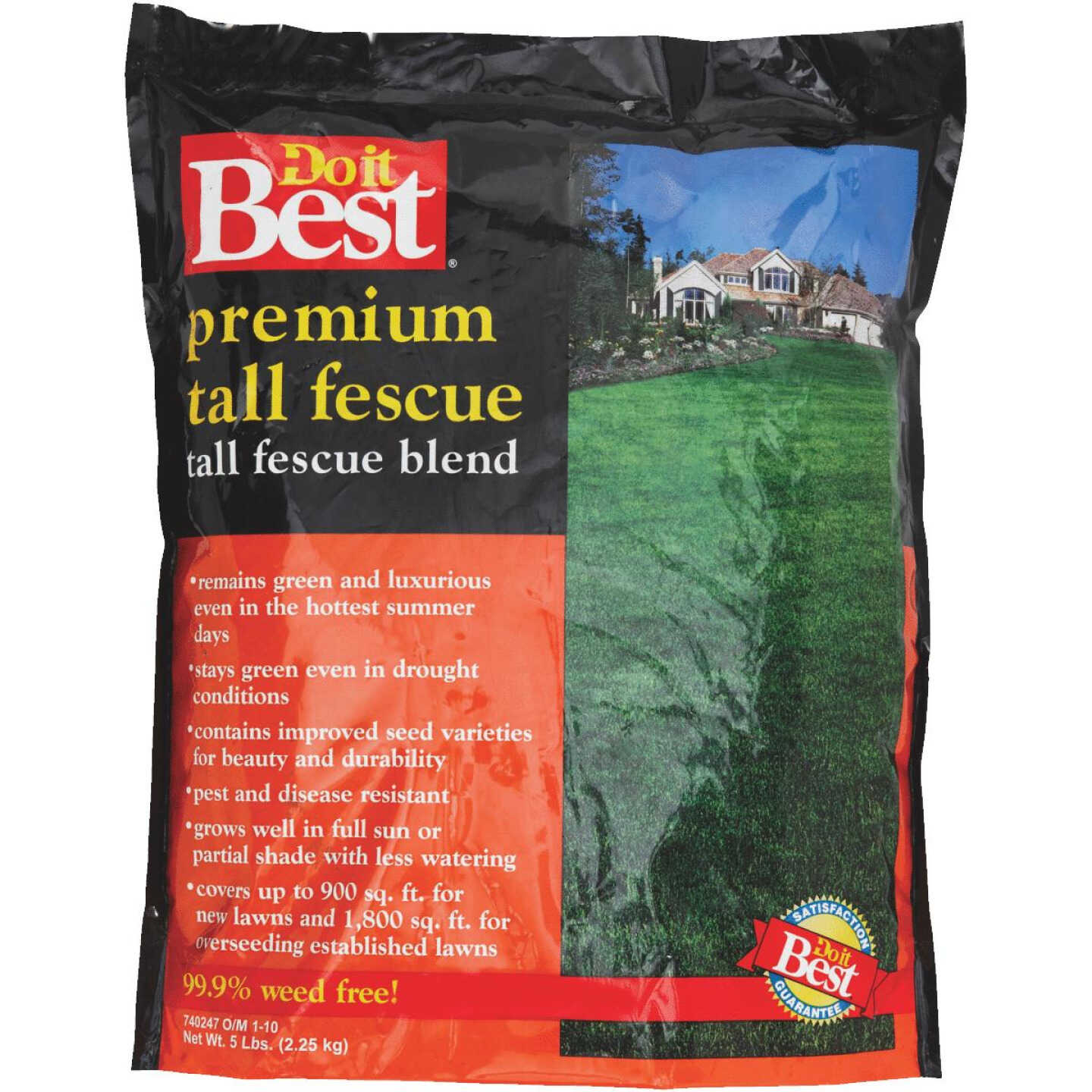 5LB BLEND T FESCUE SEED Image 1