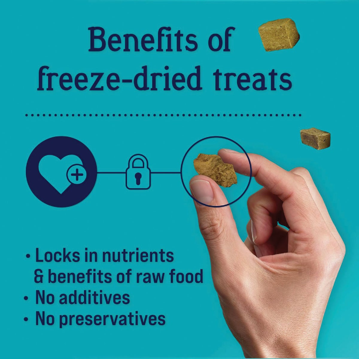 Stewart 11.5 Oz. Freeze-Dried Chicken Liver Dog Treat Image 4