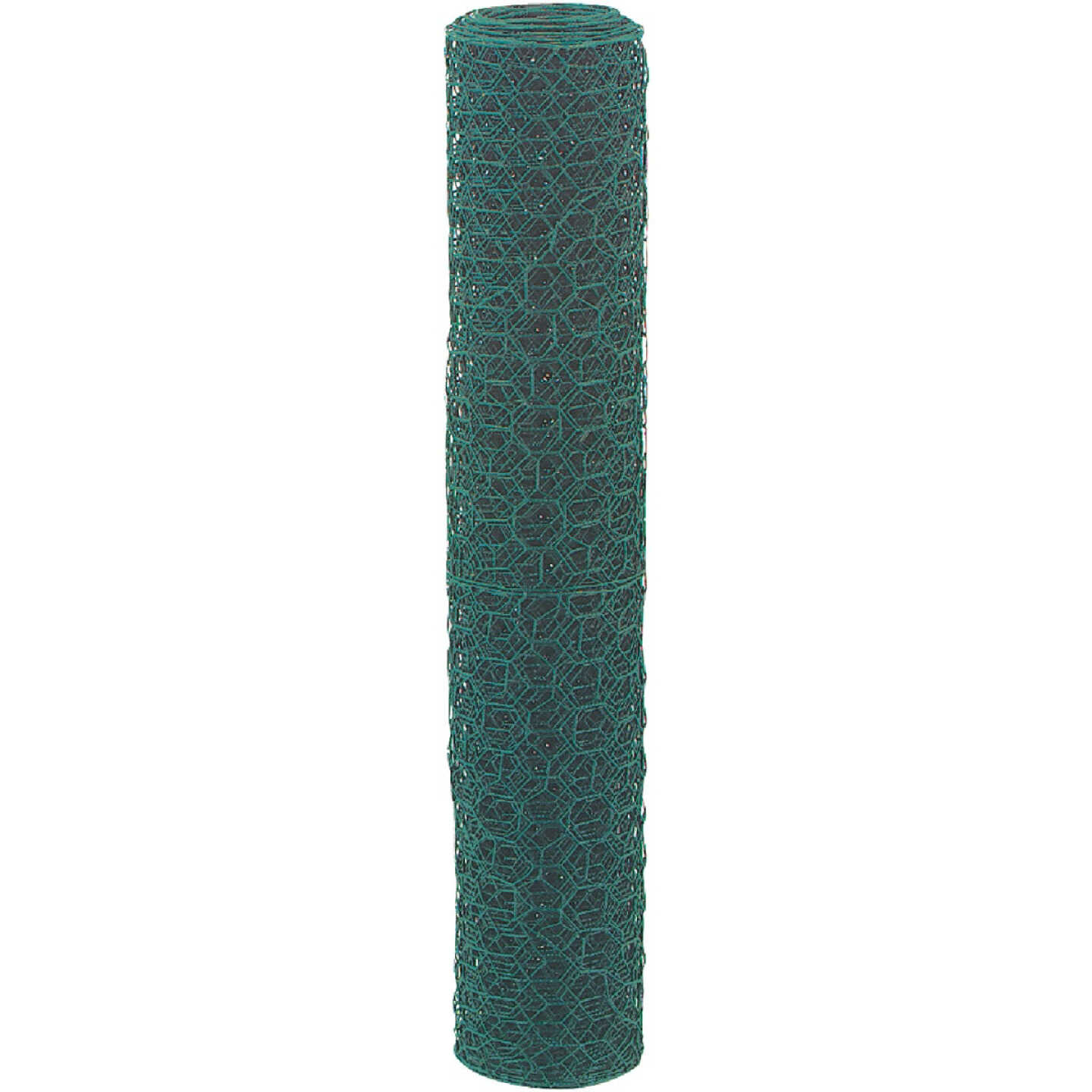 Agway 1 In. x 24 In. H. x 25 Ft. L. Green Vinyl-Coated Poultry Netting Image 3