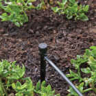 Raindrip 11.7 GPH Full-Circle Drip Irrigation Bubbler (5-Pack) Image 4