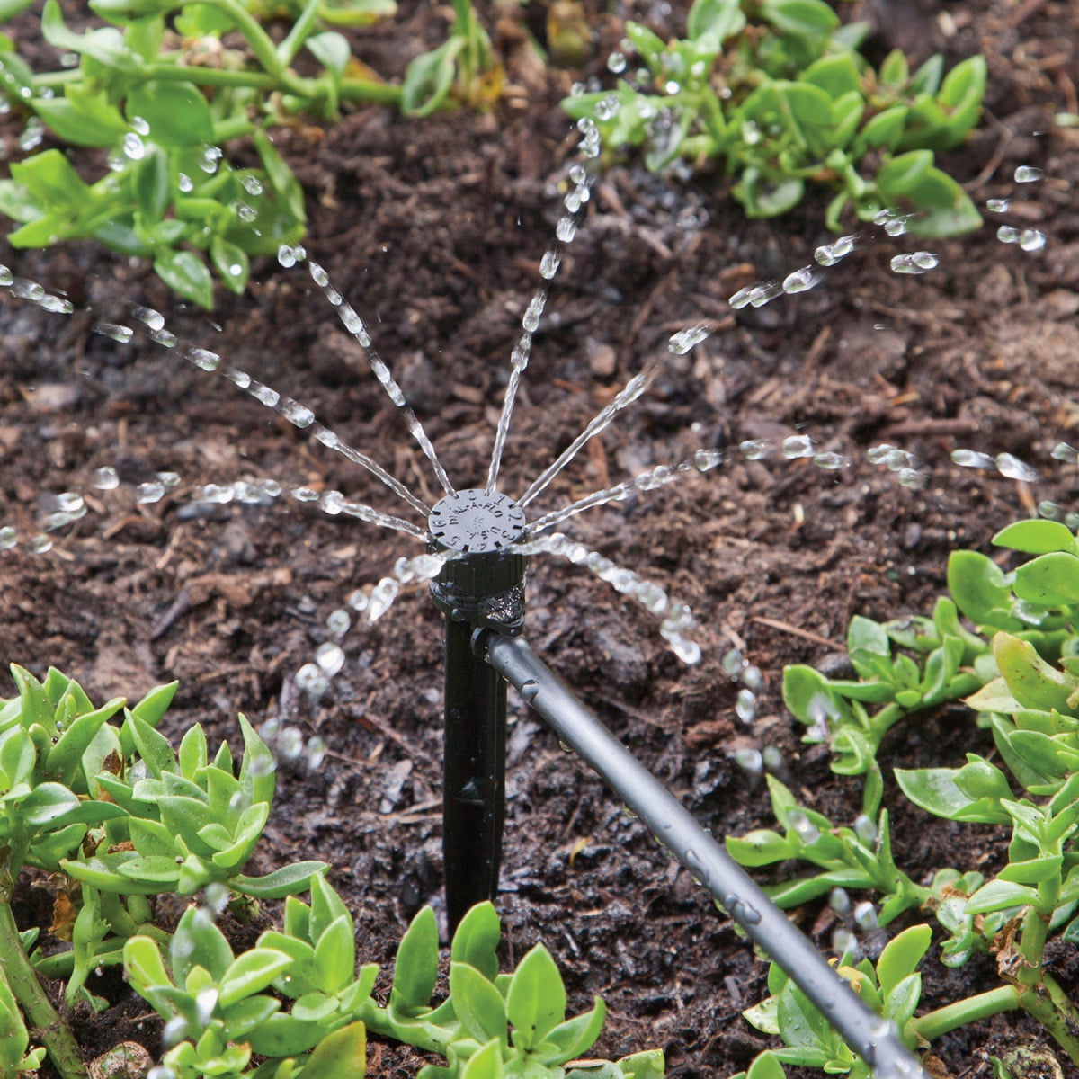 Raindrip 11.7 GPH Full-Circle Drip Irrigation Bubbler (5-Pack) Image 3
