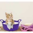 Tuff Stuff 5 Qt. Sky Blue Plastic Flex Tub Image 2