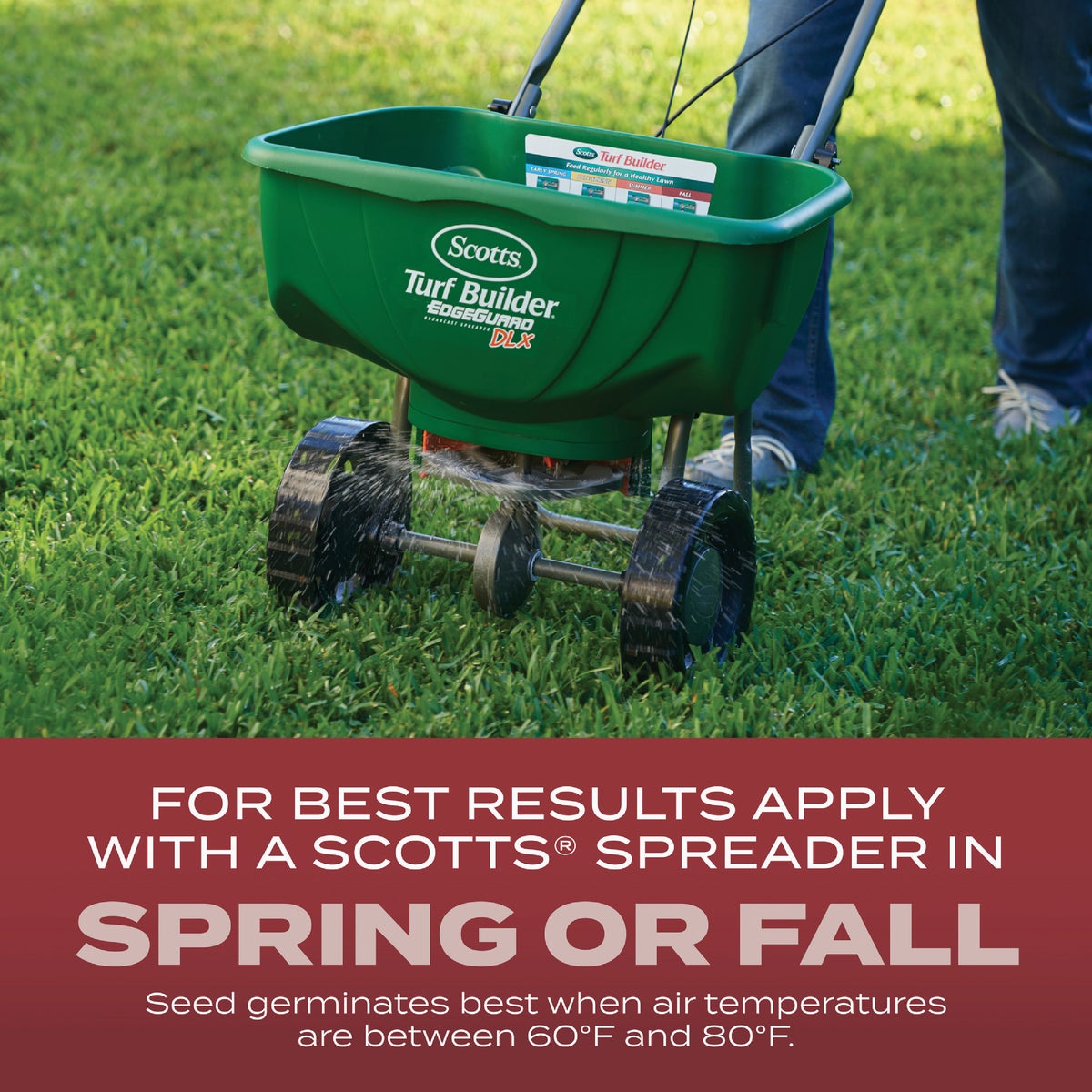 Scotts Turf Builder 2.4 Lb. 200 Sq. Ft. Sunny Mix Grass Seed, Fertilizer, and Soil Improver Combination Image 5