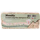 Mossify 5.3 Oz. Premium Natural Sphagnum Moss Image 3