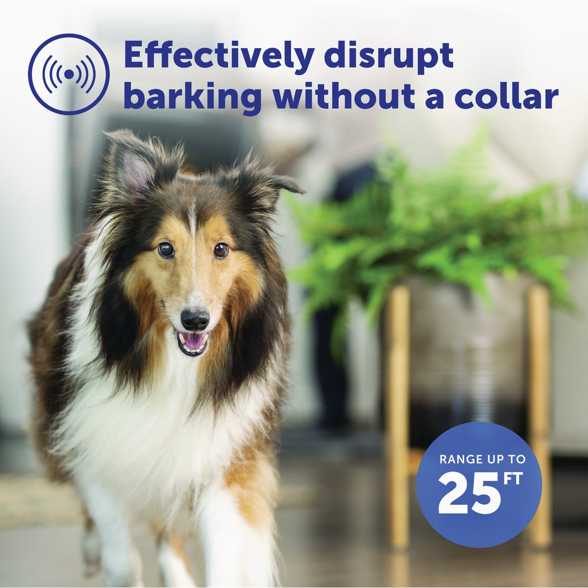 PetSafe Indoor Ultrasonic Bark Control Image 2