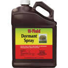 Hi-Yield 1 Gal. Concentrate Dormant Spray Image 1