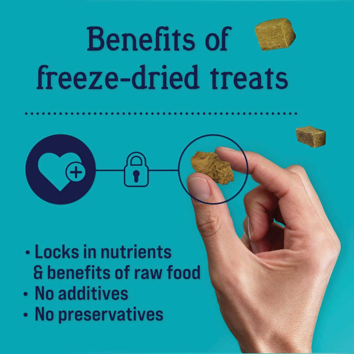 Stewart 16.8 Oz. Freeze-Dried Chicken Liver Dog Treat Image 4