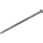 Do it Best 3/8 In. x 12 In. Hot Galvanized Smooth Landscape Spikes (125-Count, 50 Lb.) Image 1