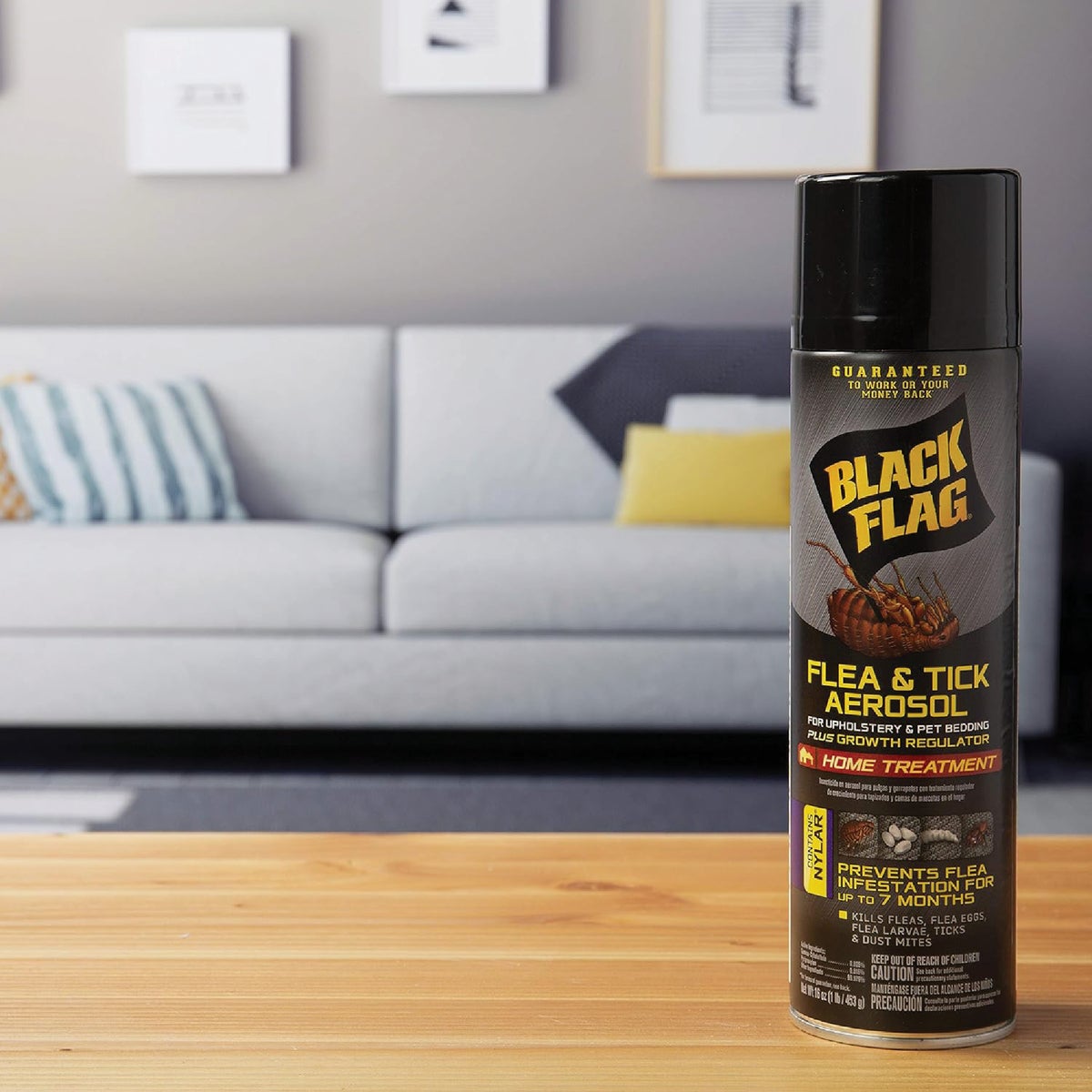 Black Flag 16 Oz. Aerosol Spray Flea & Tick Upholstery & Pet Bedding Home Treatment Plus Growth Regulator