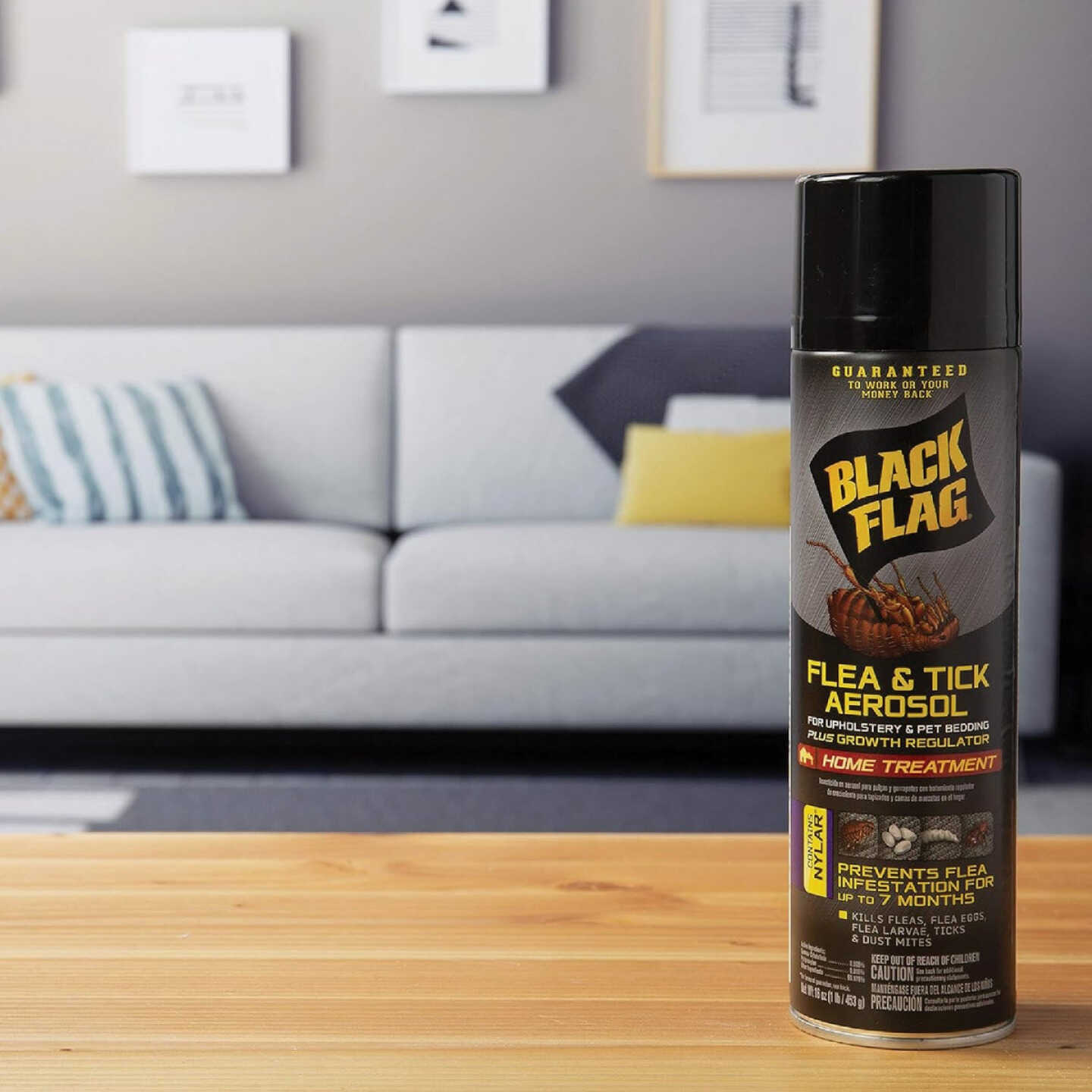 Black Flag 16 Oz. Aerosol Spray Flea & Tick Upholstery & Pet Bedding Home Treatment Plus Growth Regulator Image 5