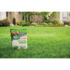 Scotts Turf Builder 3 Lb. 1000 Sq. Ft. Starter Food For New Grass Image 2