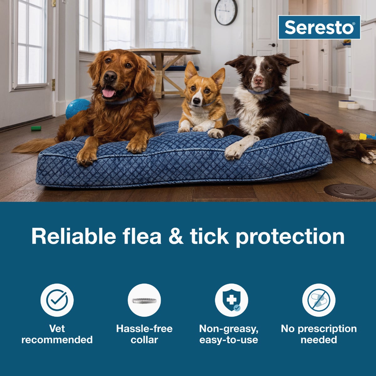 Seresto 8 Month Flea & Tick Collar for Dogs Over 18 Lb. Image 4