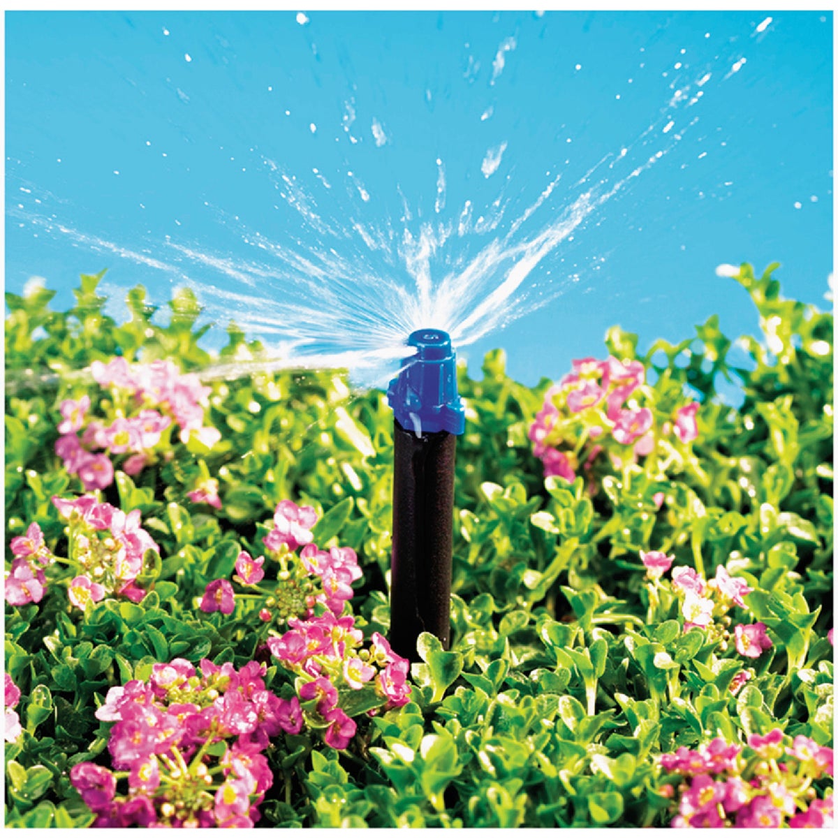Raindrip 13 GPH Half-Circle Drip Irrigation Micro Sprayer (10-Pack) Image 2