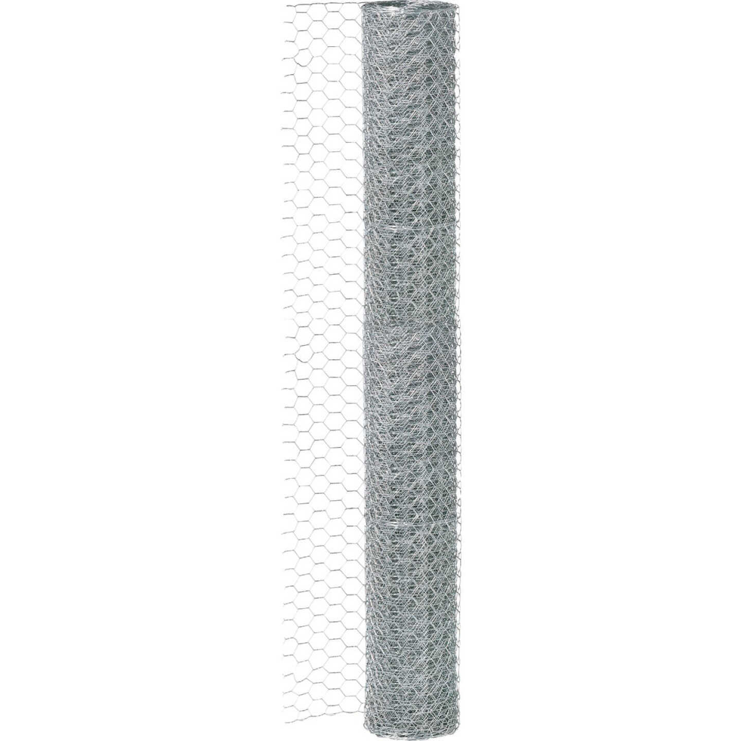 1 In. x 36 In. H. x 10 Ft. L. Hexagonal Wire Poultry Netting Image 3