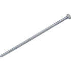Do it Best 3-1/2 In. x 9 ga x 16d Hot Galvanized Ring Shank Pole Barn Nails (1710-Count, 30 Lb.) Image 1