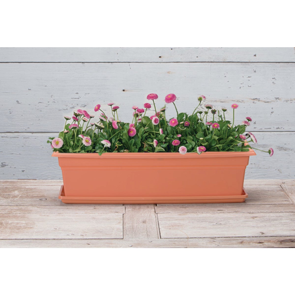 Novelty Countryside 24 In. Plastic Terra Flower Box Planter Image 2