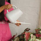 Bloem Fern 50 Oz. Gray Watering Can Image 2