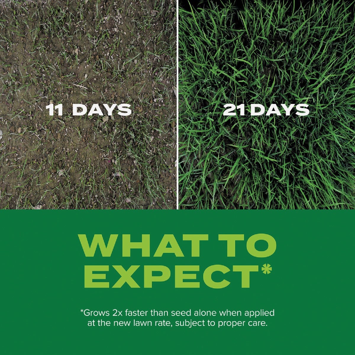 Scotts Turf Builder Rapid Grass 5.6 Lb. 1845 Sq. Ft. Tall Fescue Mix Grass Seed & Fertilizer Combination Image 4