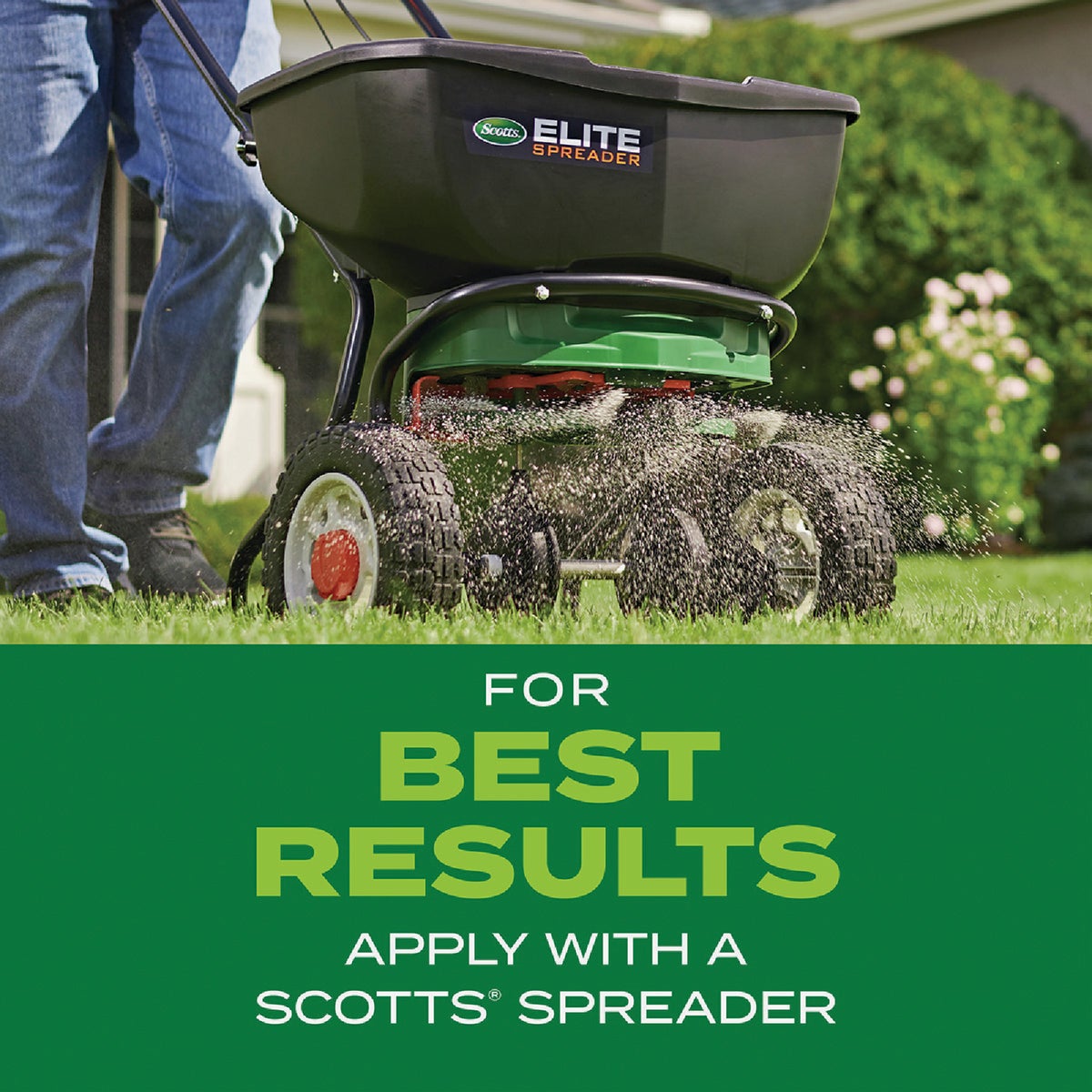 Scotts Turf Builder Rapid Grass 5.6 Lb. 1845 Sq. Ft. Tall Fescue Mix Grass Seed & Fertilizer Combination Image 7