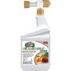 Bonide Captain Jack's 32 Oz. Ready To Spray Hose End Citrus, Fruit & Nut Orchard Spray Image 1