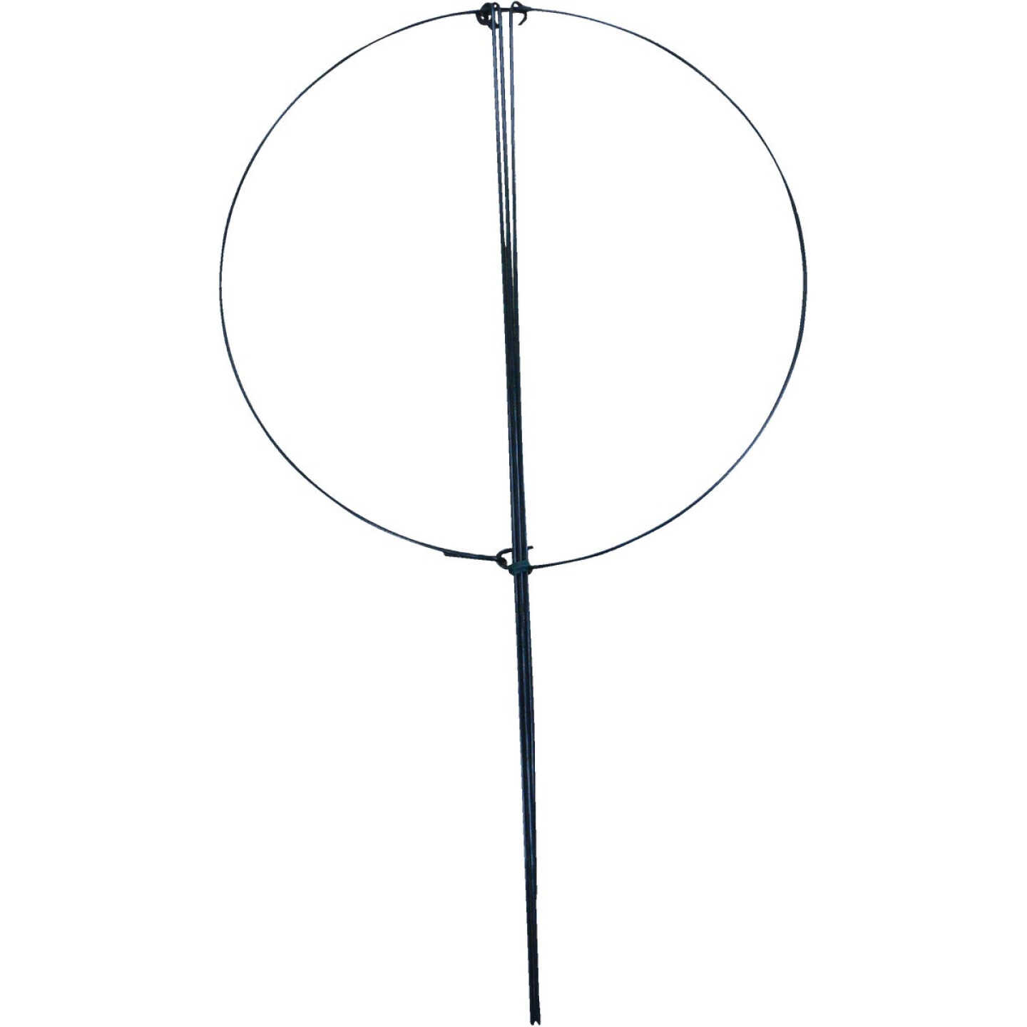 Best Garden 24 In. H. x 14 In. Dia. Green Vinyl-Coated Steel Flower/Plant Support Image 1