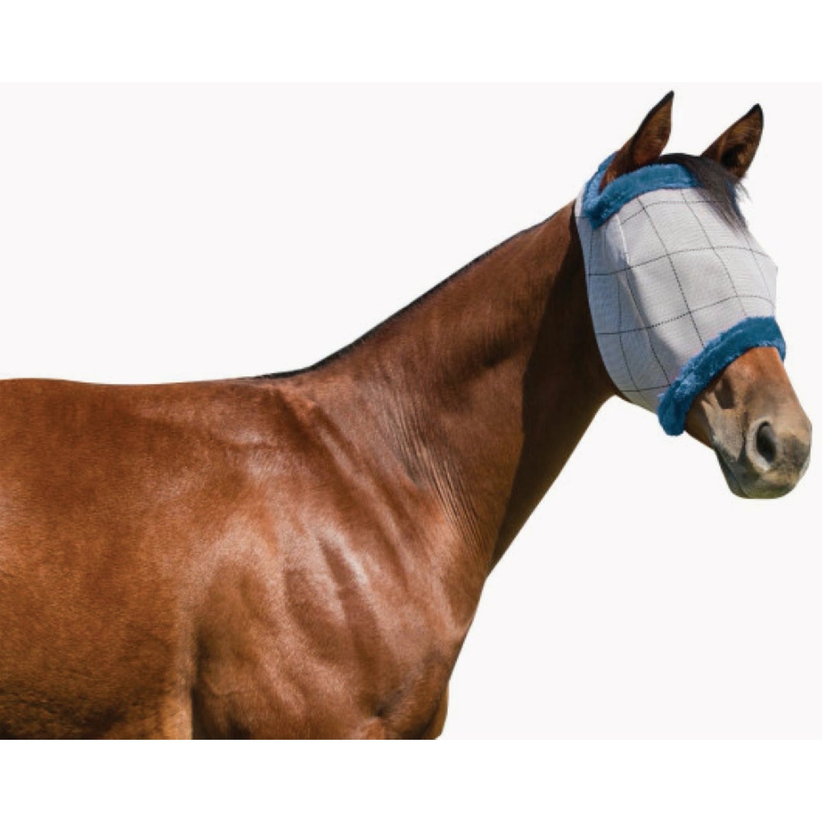 Farnam SuperMask II Classic Horse Fly Mask, for Foals Image 2