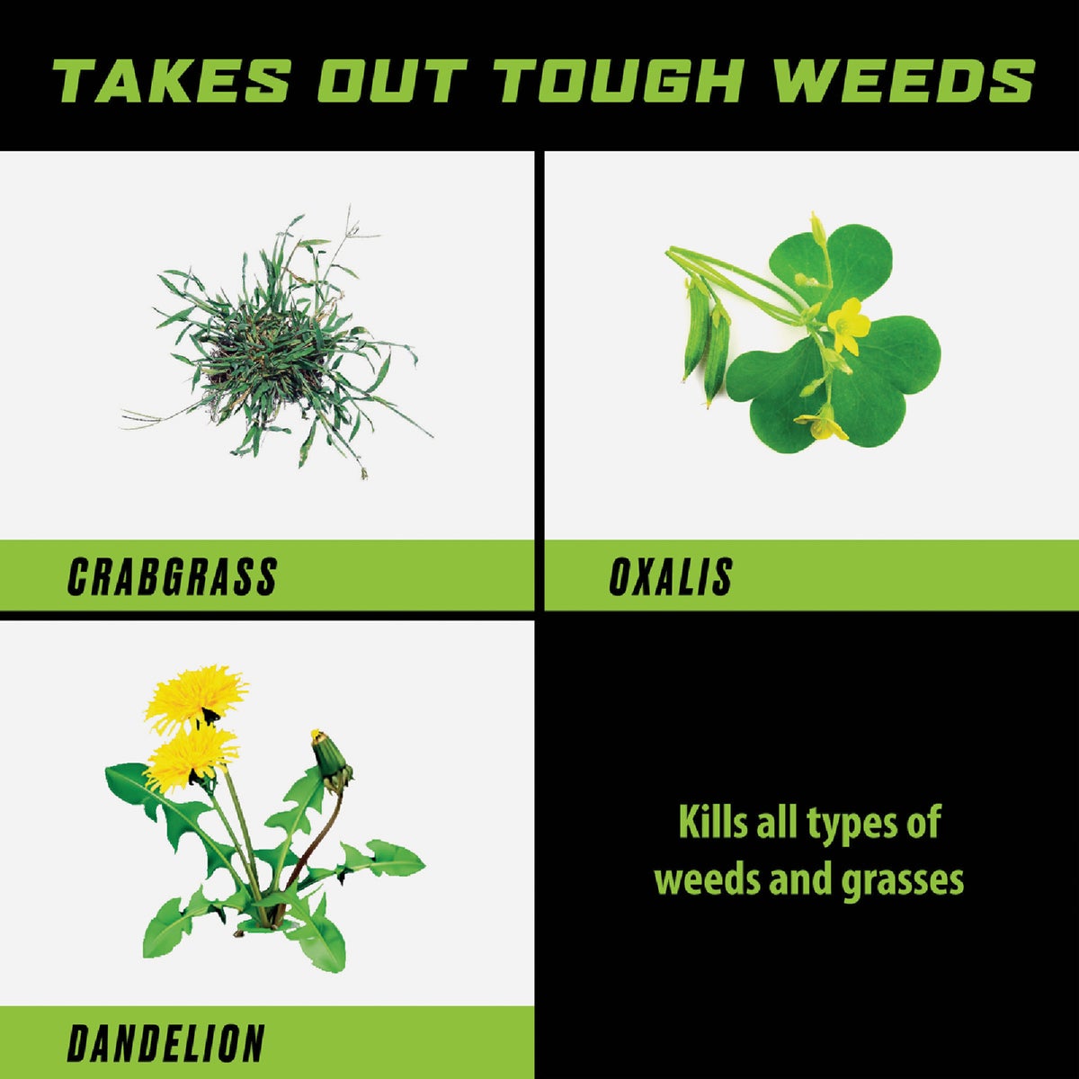 Ortho GroundClear 32 Oz. Concentrate Weed & Grass Killer Image 3