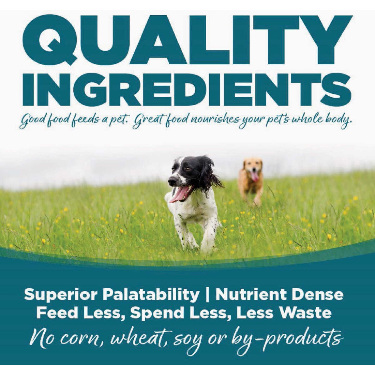 NutriSource 12 Lb. Small & Medium Breed Puppy Food Image 4